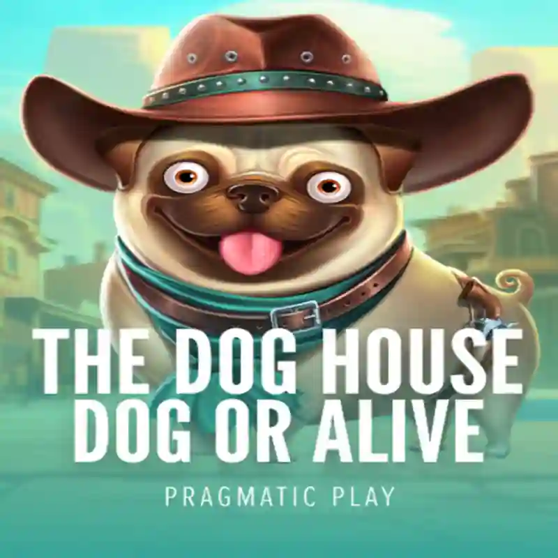 Jugar Dog House Dog & Alive en malina